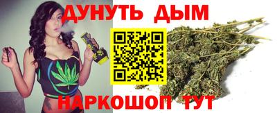 гидра Нальчик