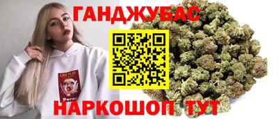 гидра Нальчик