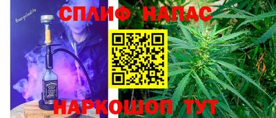 гидра Нальчик